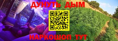 СК Краснознаменск
