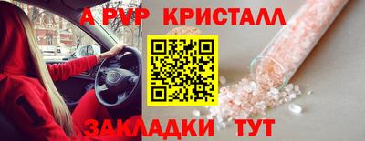 СК Краснознаменск