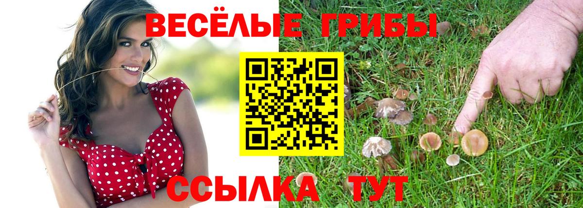 Псилоцибиновые грибы ЛСД  Вход с VPN  купить наркотик  Псилоцибиновые грибы GOLDEN TEACHER  Зерноград 